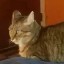 User avatar image