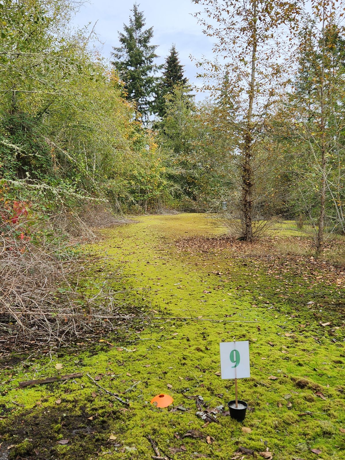 Hole 9