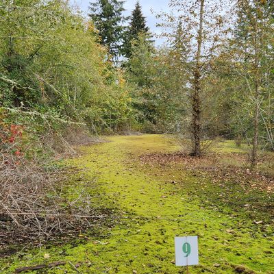 Hole 9