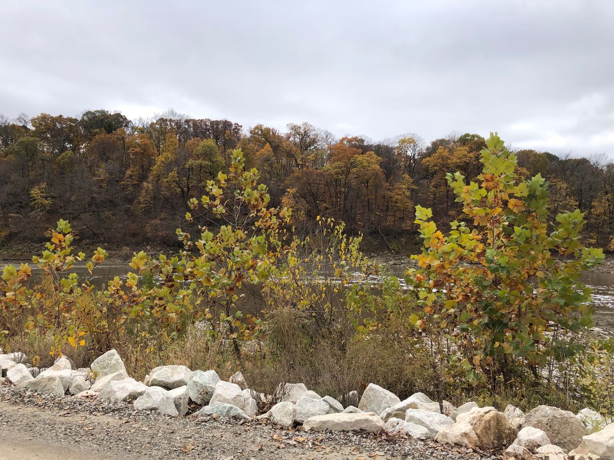 Looking across the river and up the bluff toward hole 16
