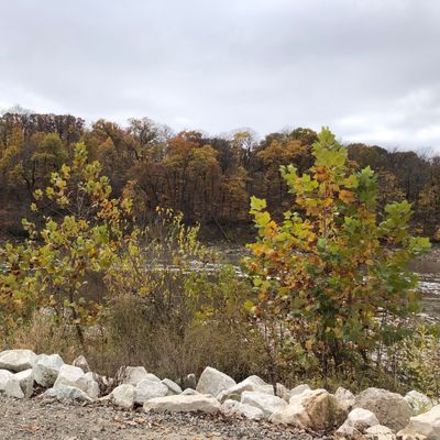 Looking across the river and up the bluff toward hole 16