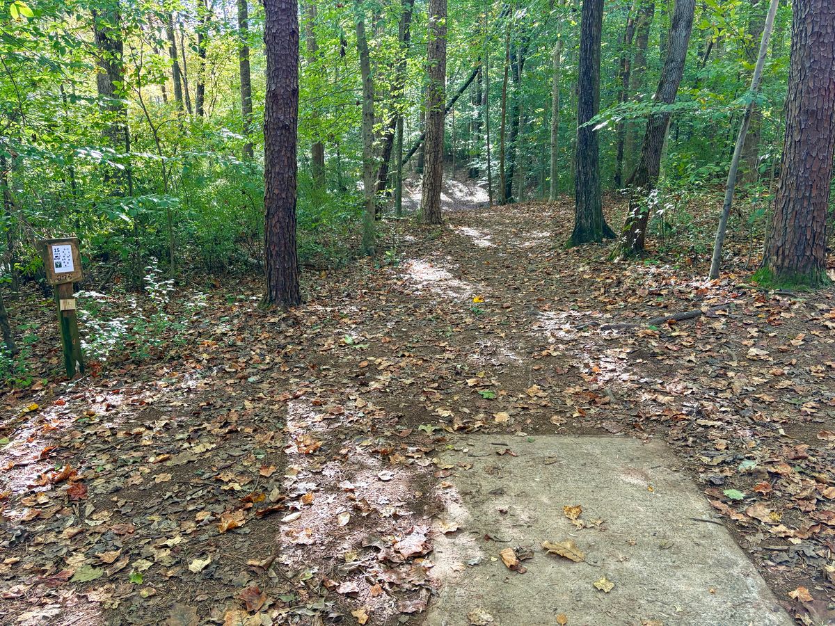 Hole 15 tee