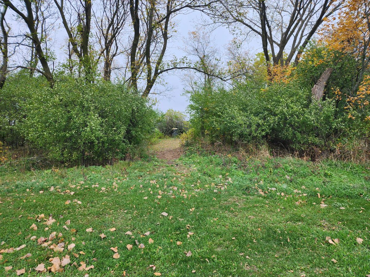 Hole 7 basket in the woods.