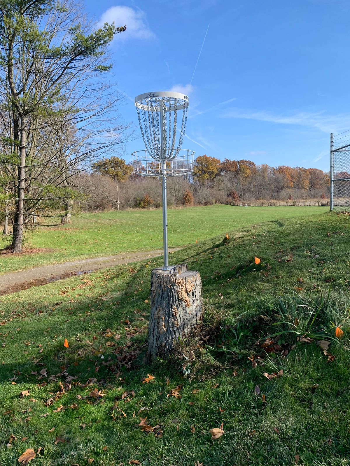 The stump basket on hole 11 is a favorite (or favorite to hate).