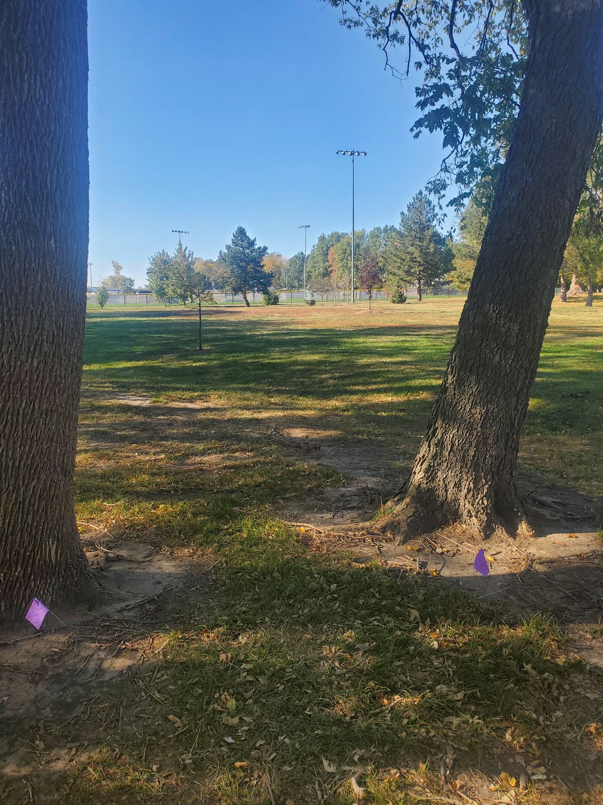 Hole 4