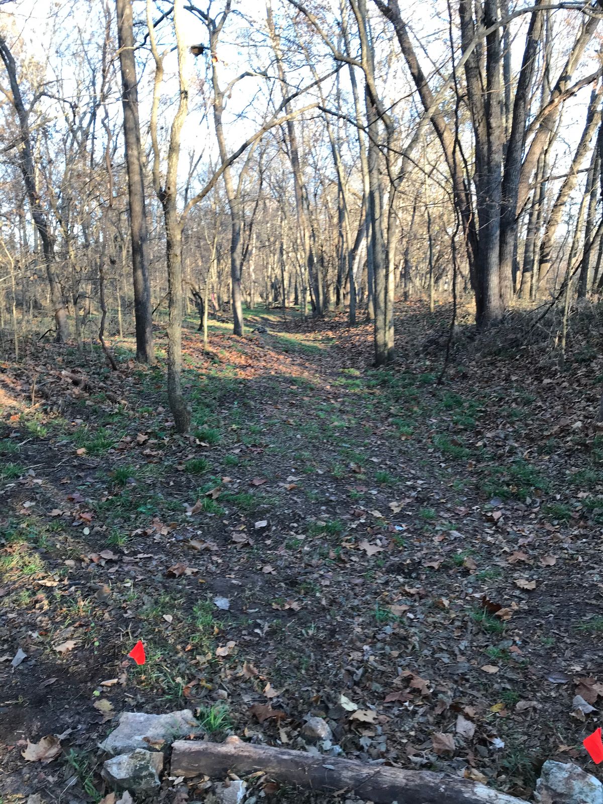 Hole 4