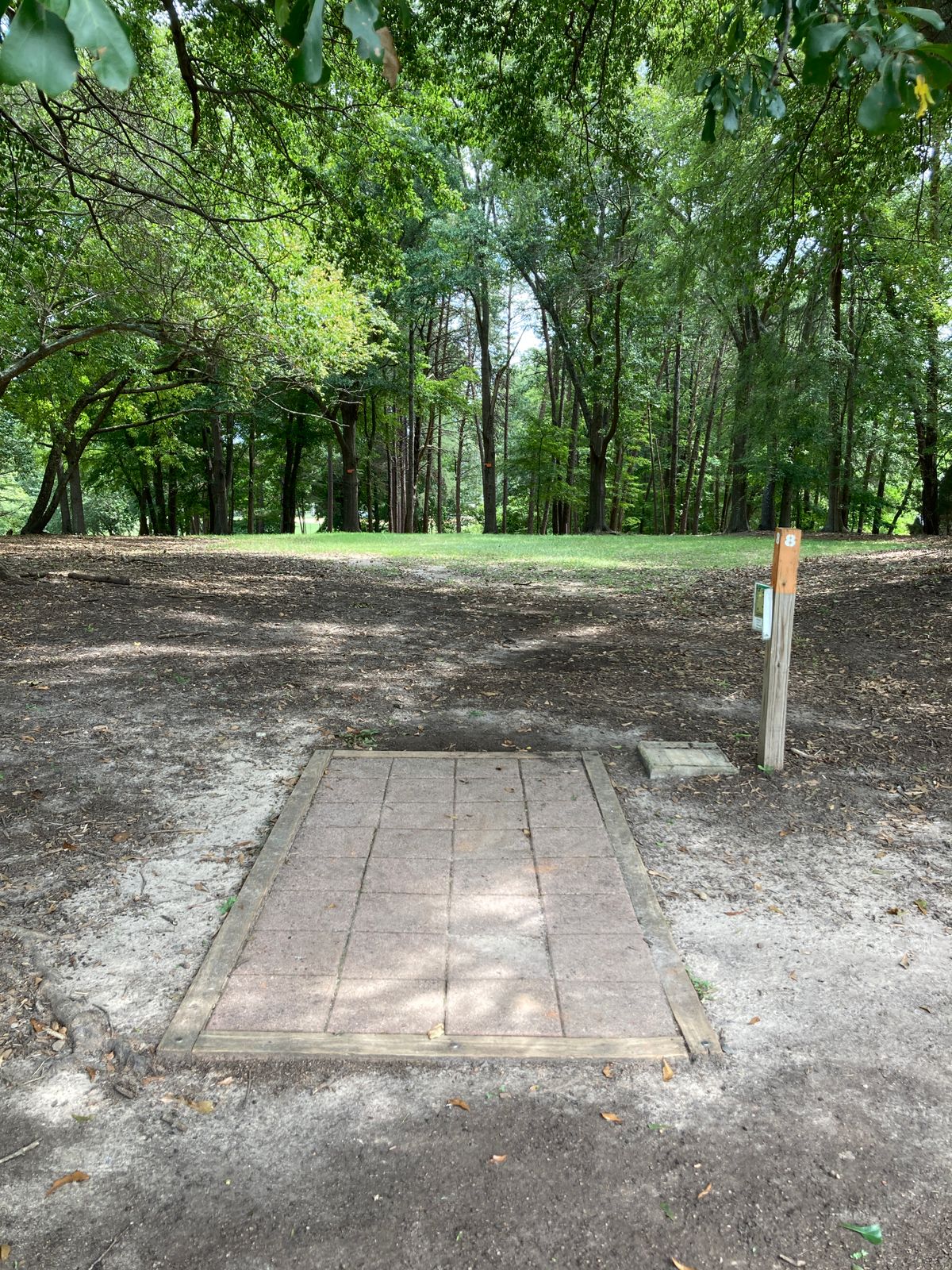 Hole 8 - plays 20-25ft downhill - Double Mando through middle trees.