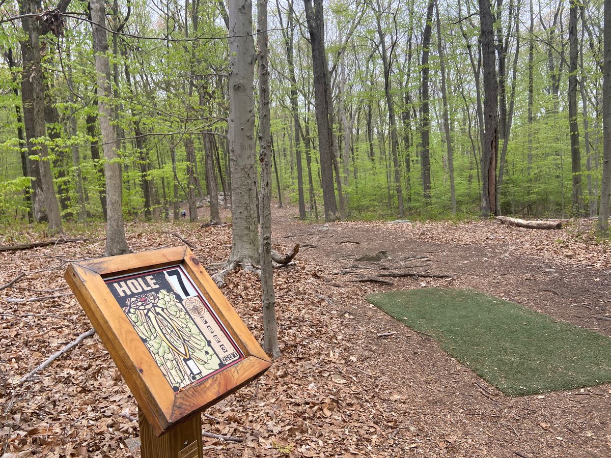 Hole 7