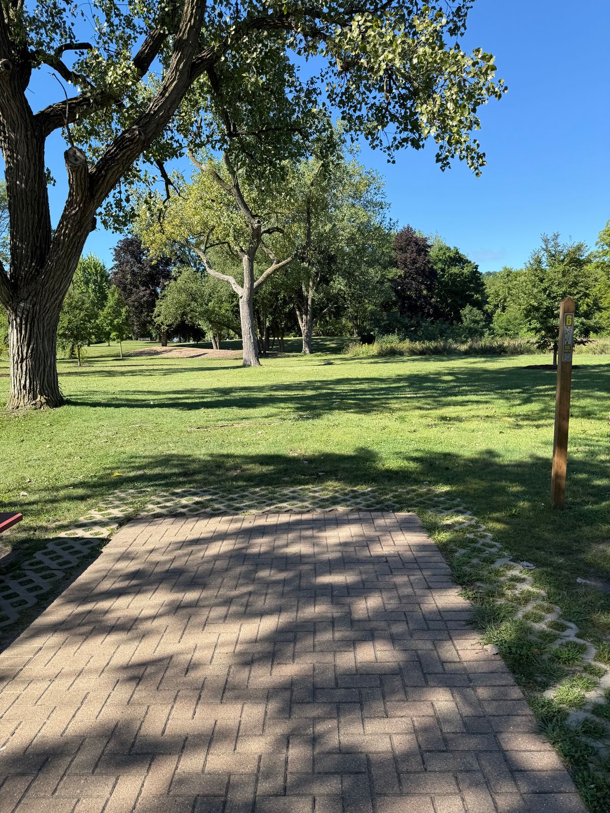 Tee 6