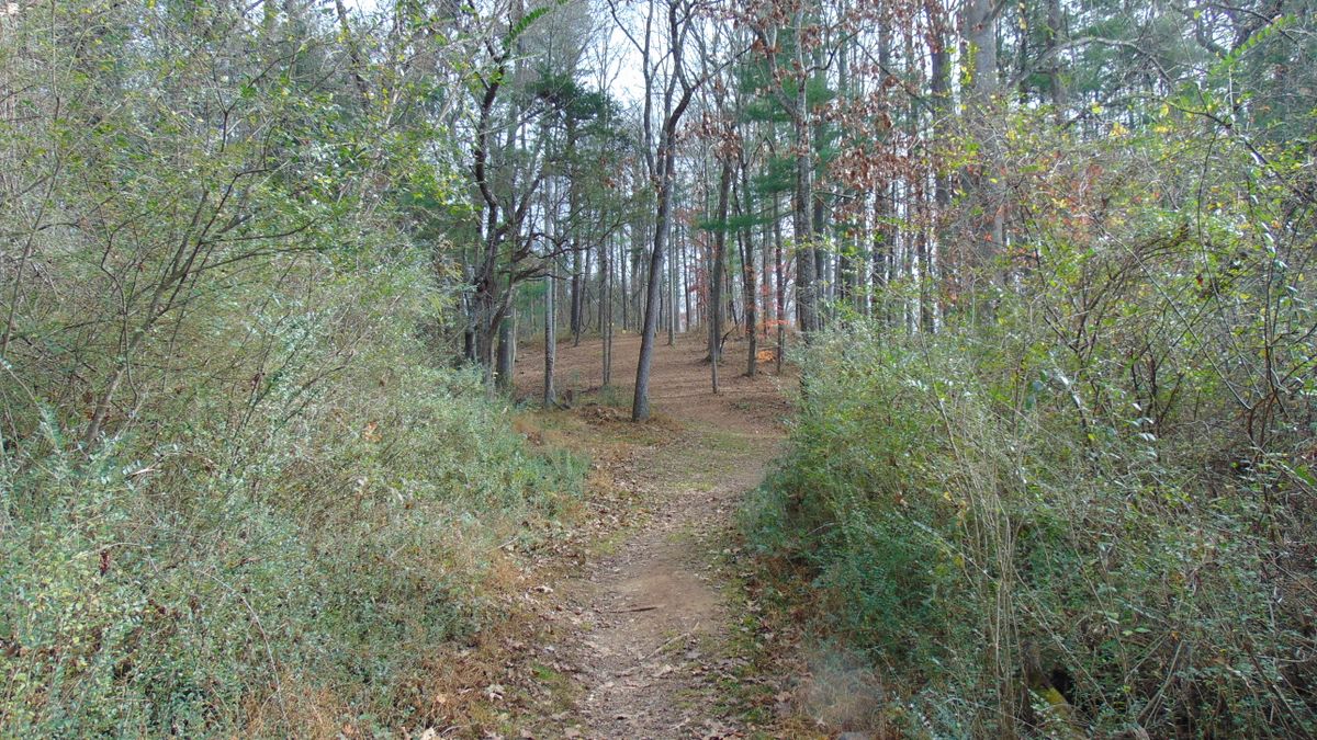 Hole 7 from tee