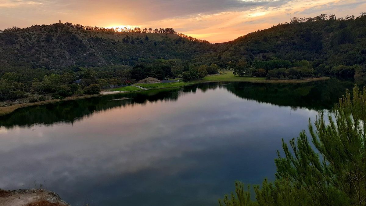Disc Golf Paradise.