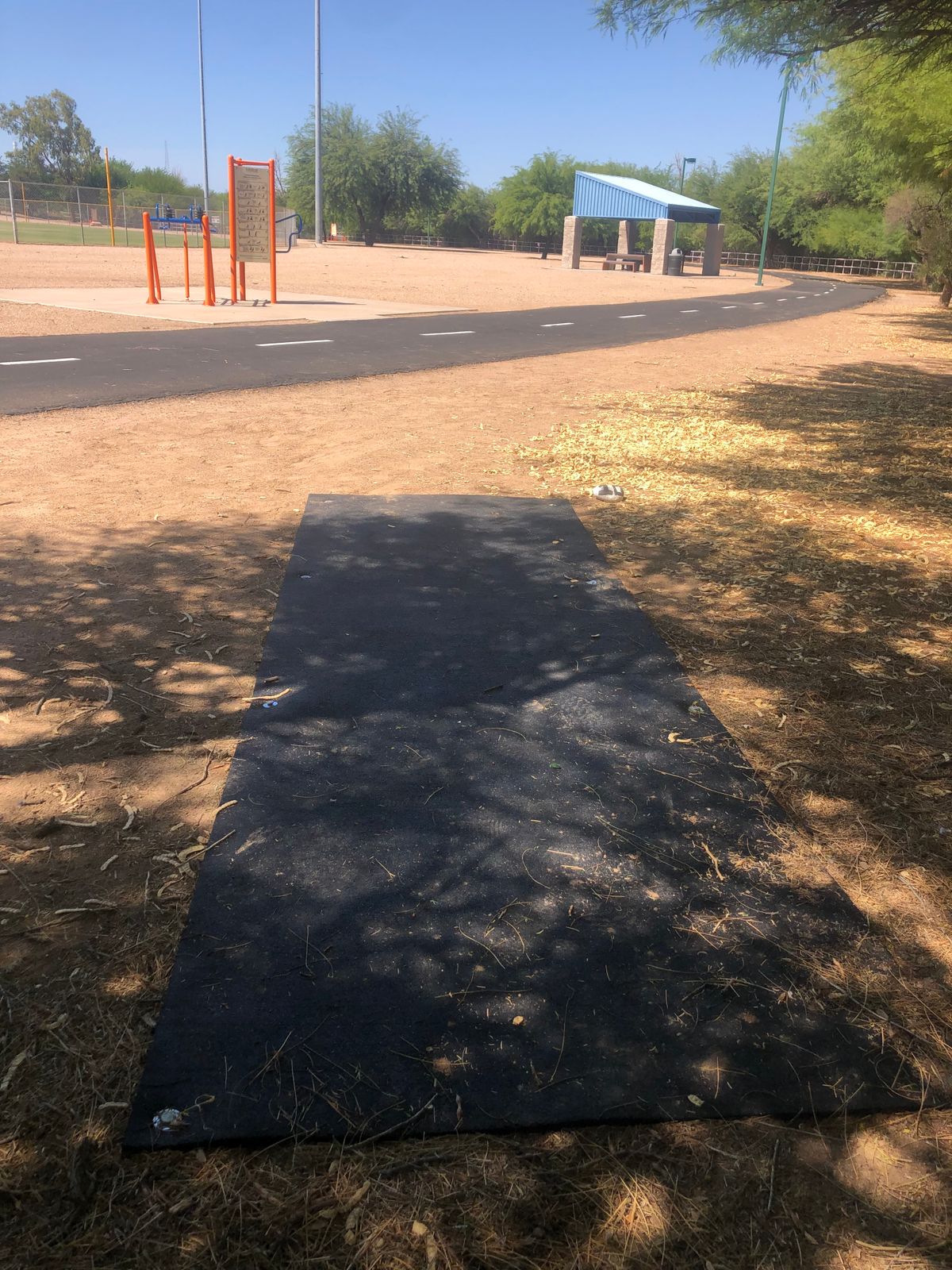 Hole 10: Throwing S/W to basket under big tree