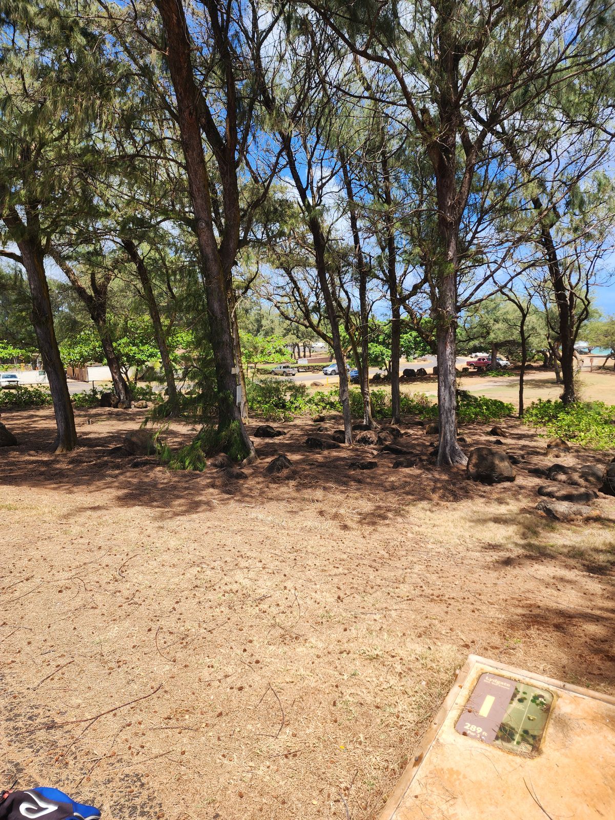 1st tee