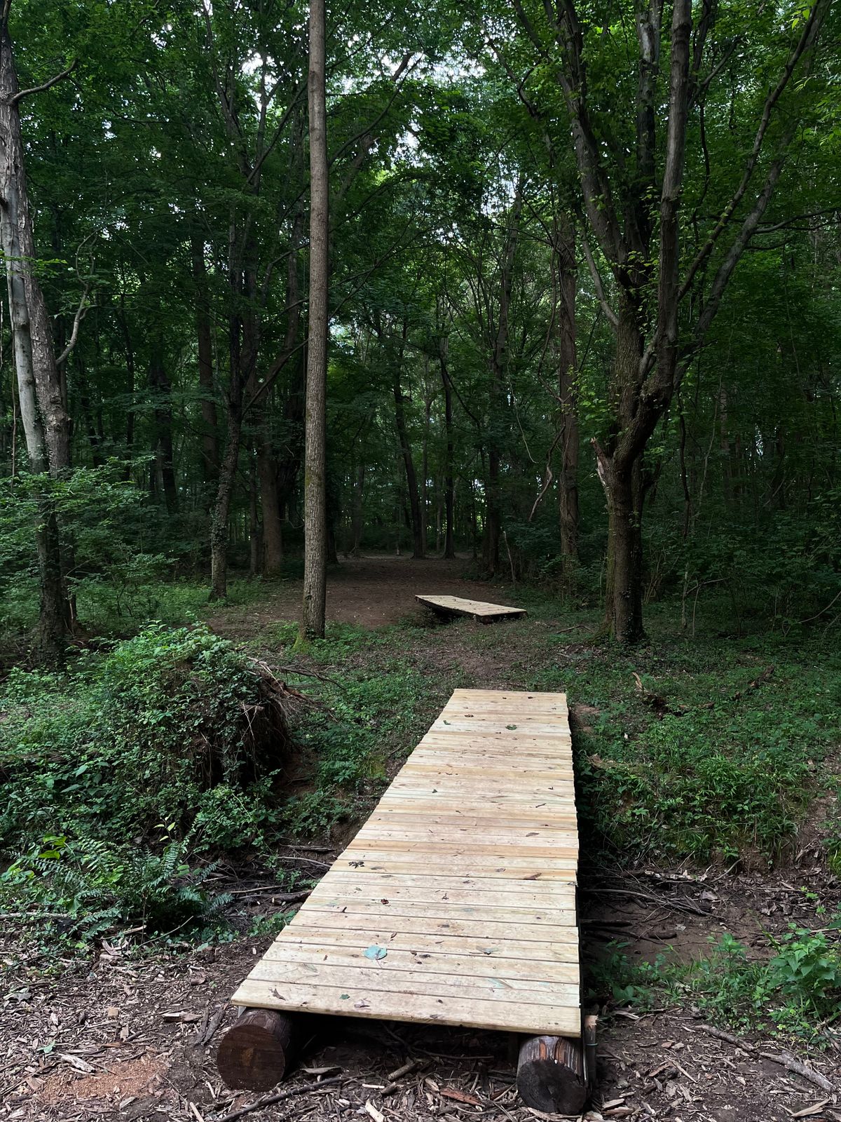 Hole 13