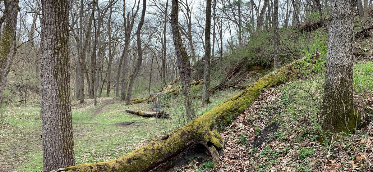 Hole 13 approach
