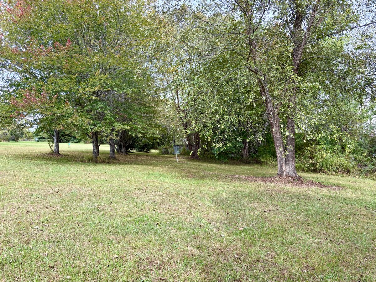 Hole 14 approach