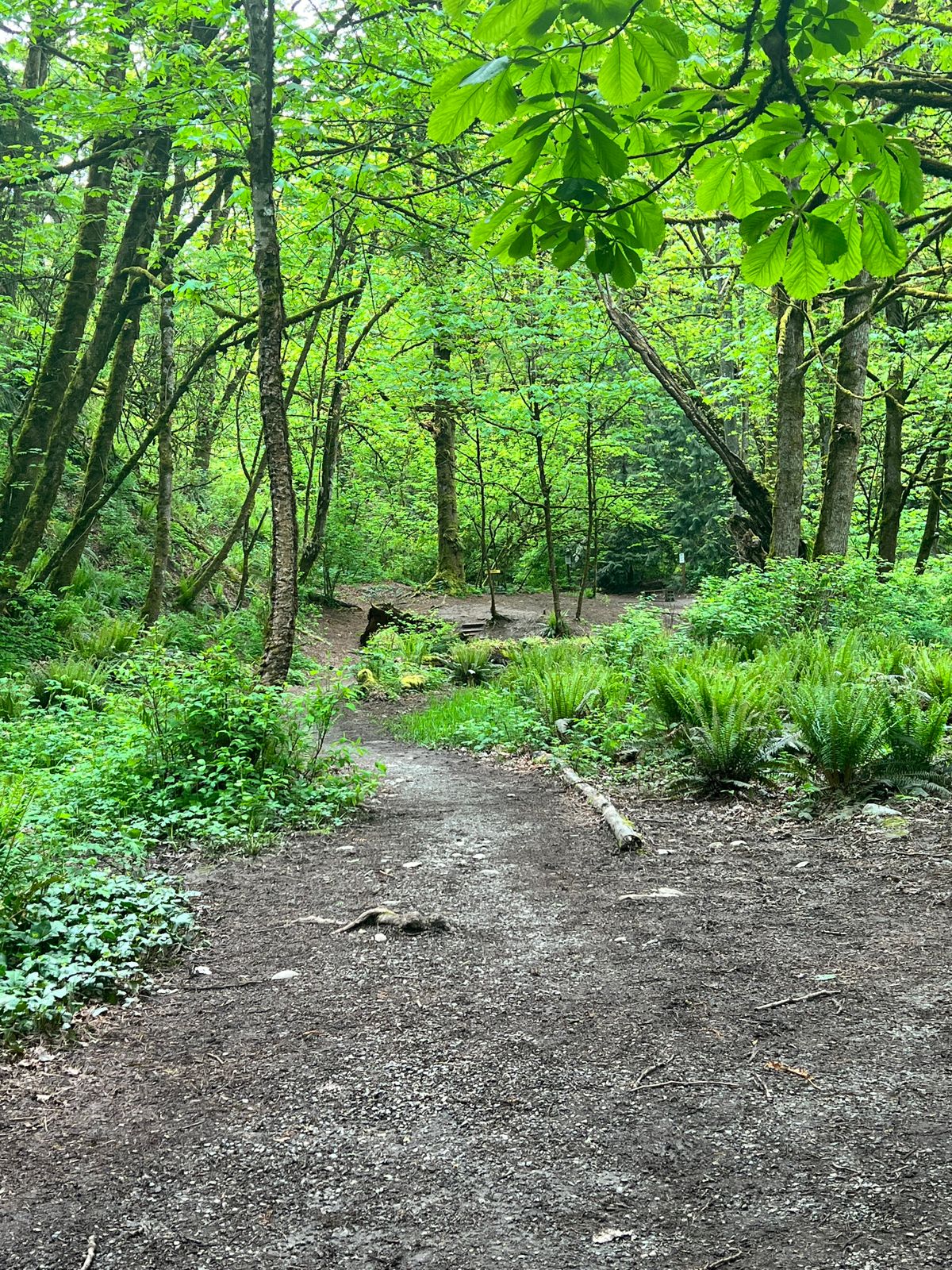 Hole 1 tee