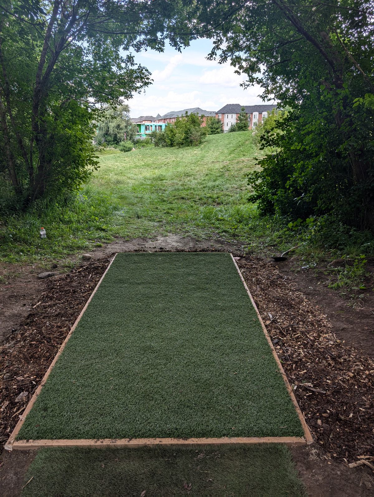 Hole19