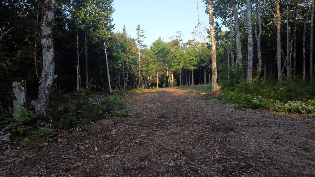 Hole 6 - fairway.