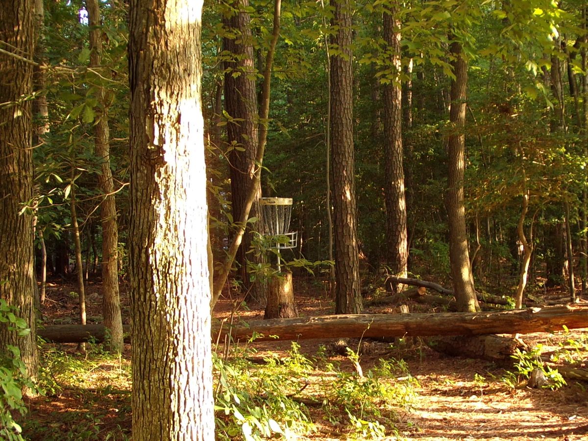 Elevated basket on hole 3