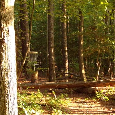 Elevated basket on hole 3