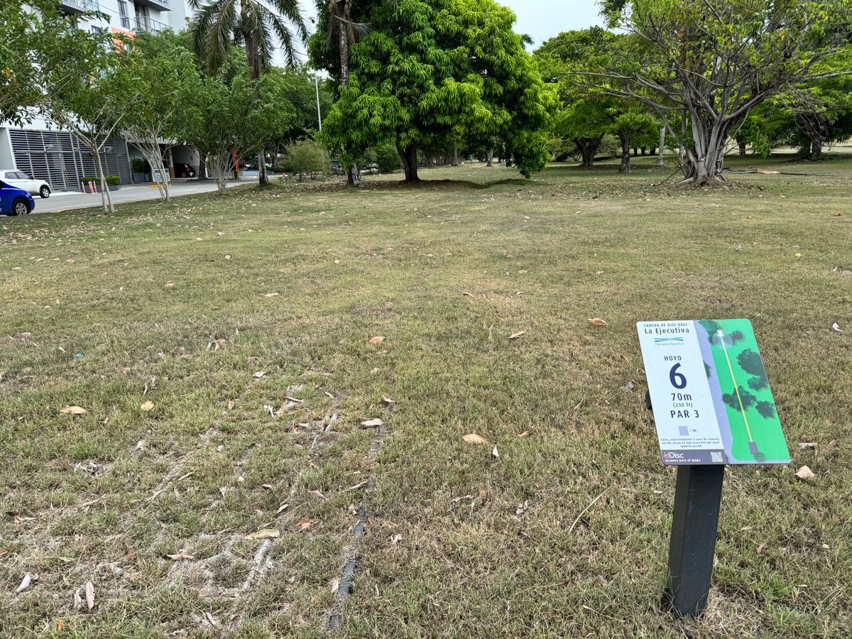Hole 6 tee