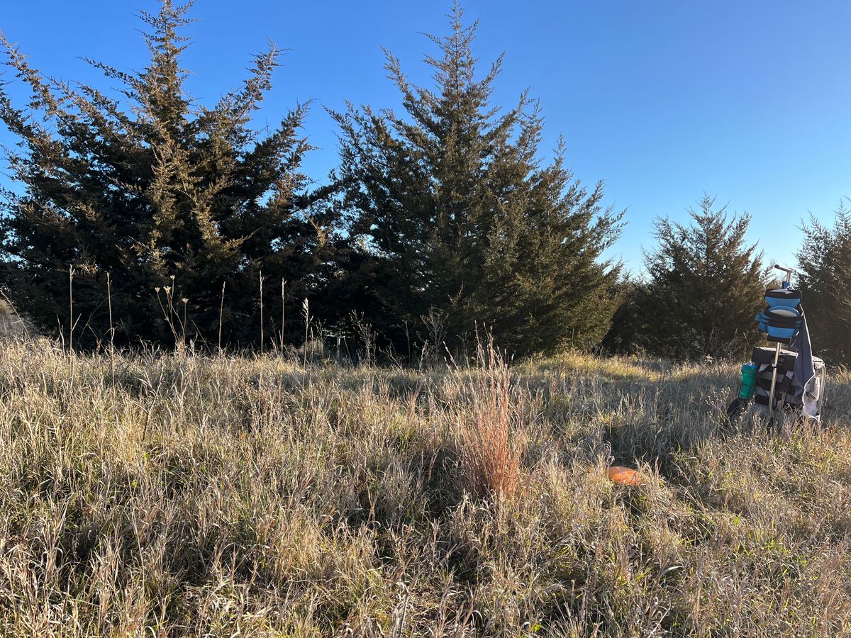 Can you see the basket?! ⛓️🥏