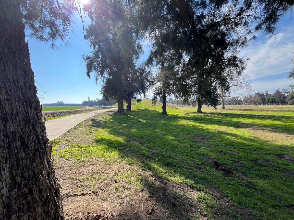 Looking at the hill with multiple hole 3 pin positions on and around it.