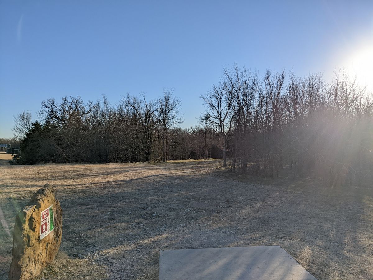 Hole 9 - dogleg left, protected basket across the ditch.