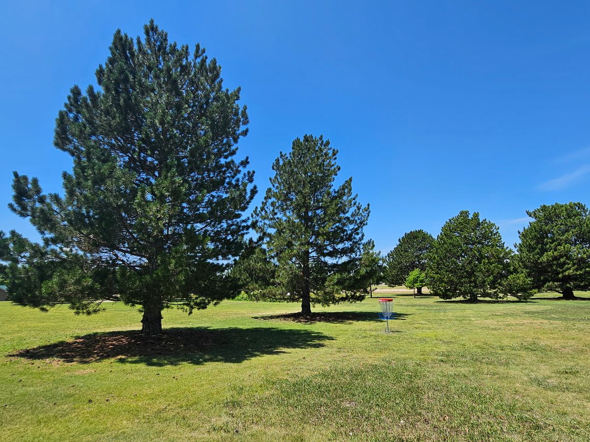 Hole 2 - Green