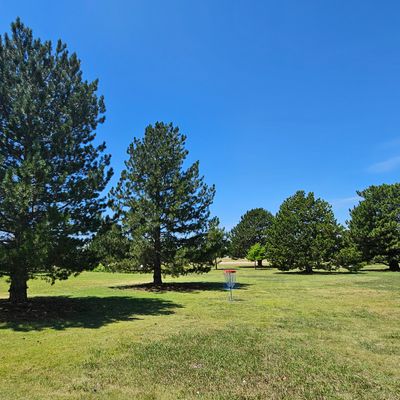 Hole 2 - Green