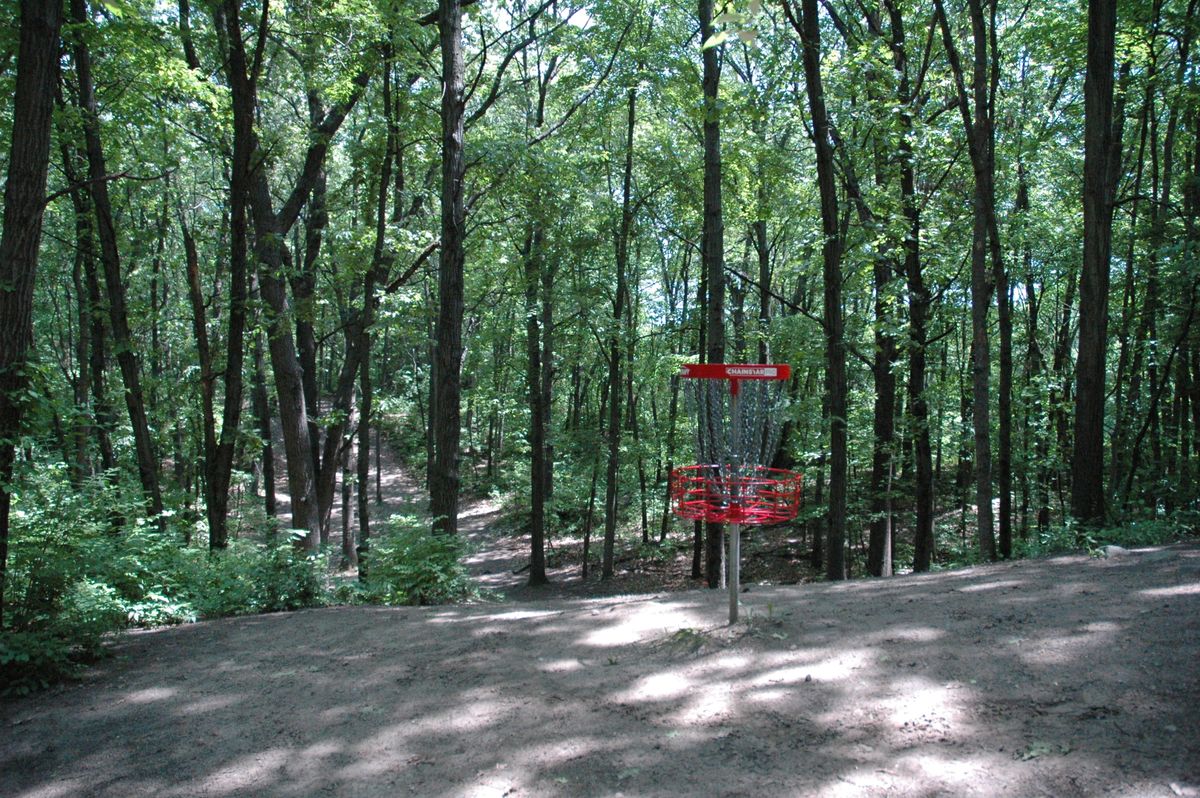 Hole 6 basket looking back towards fairway