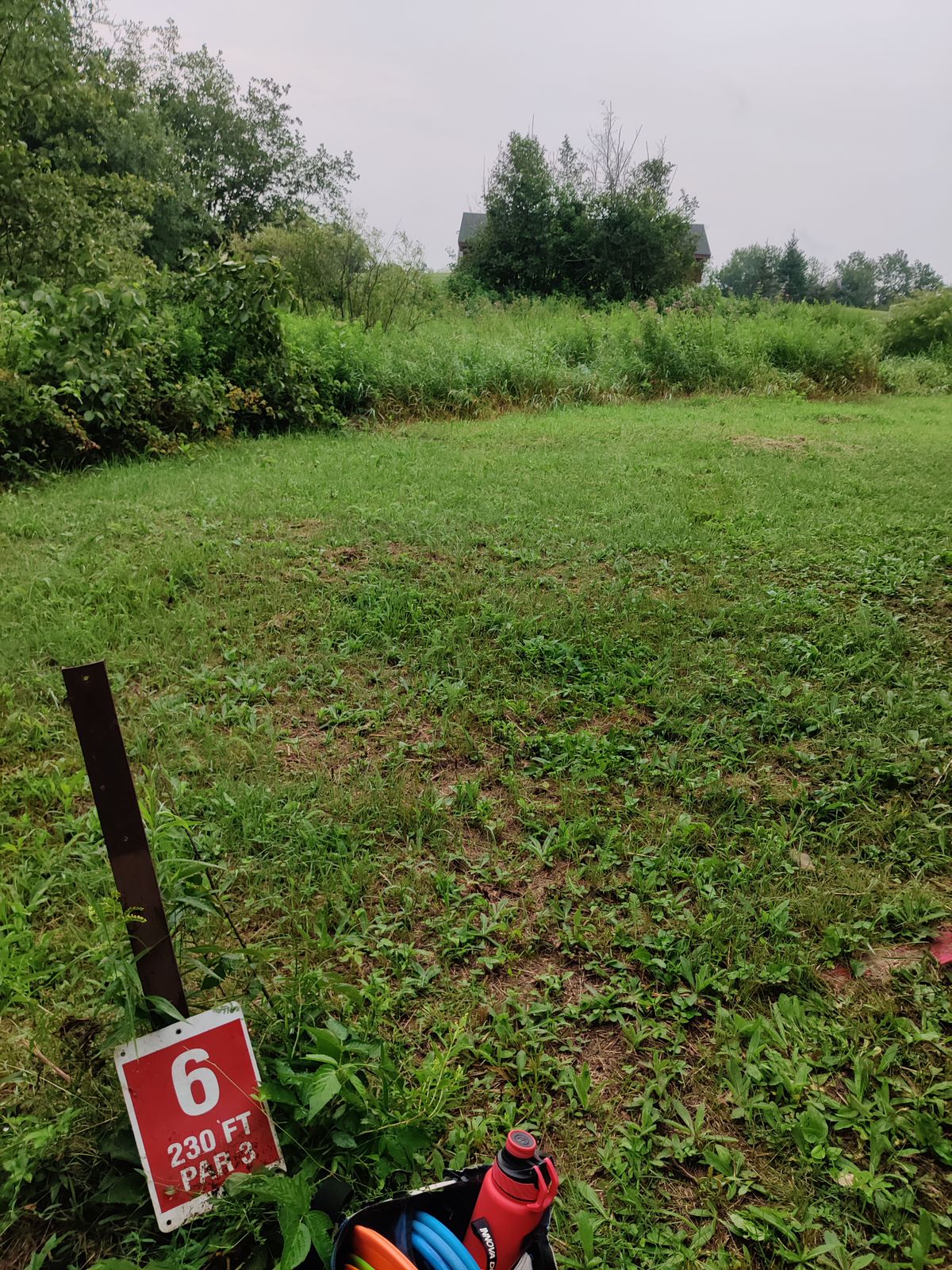 Tee 6
