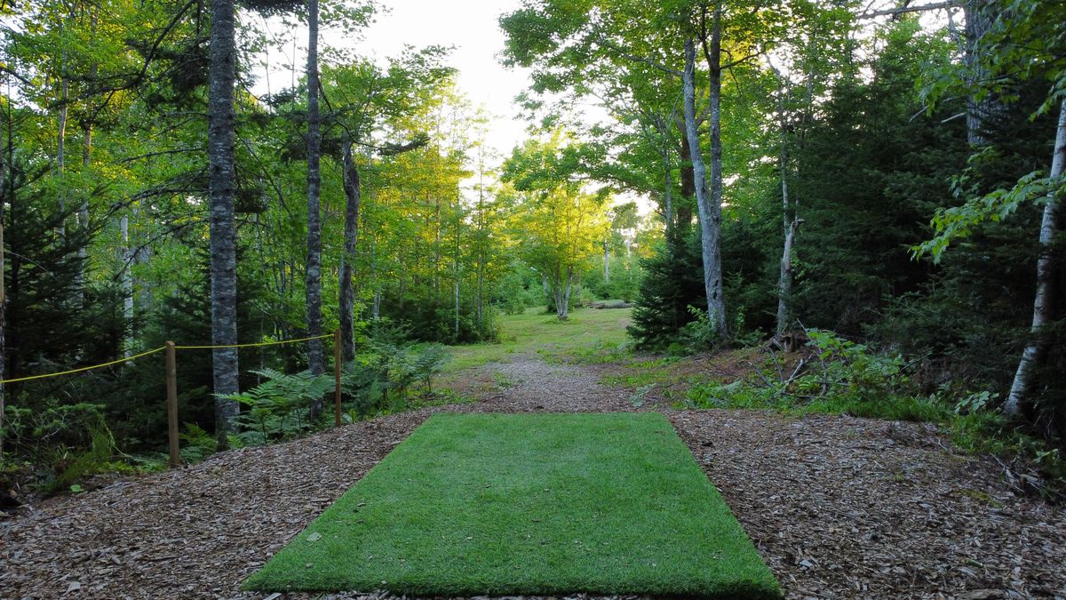 Hole 7 - fairway from red tee.