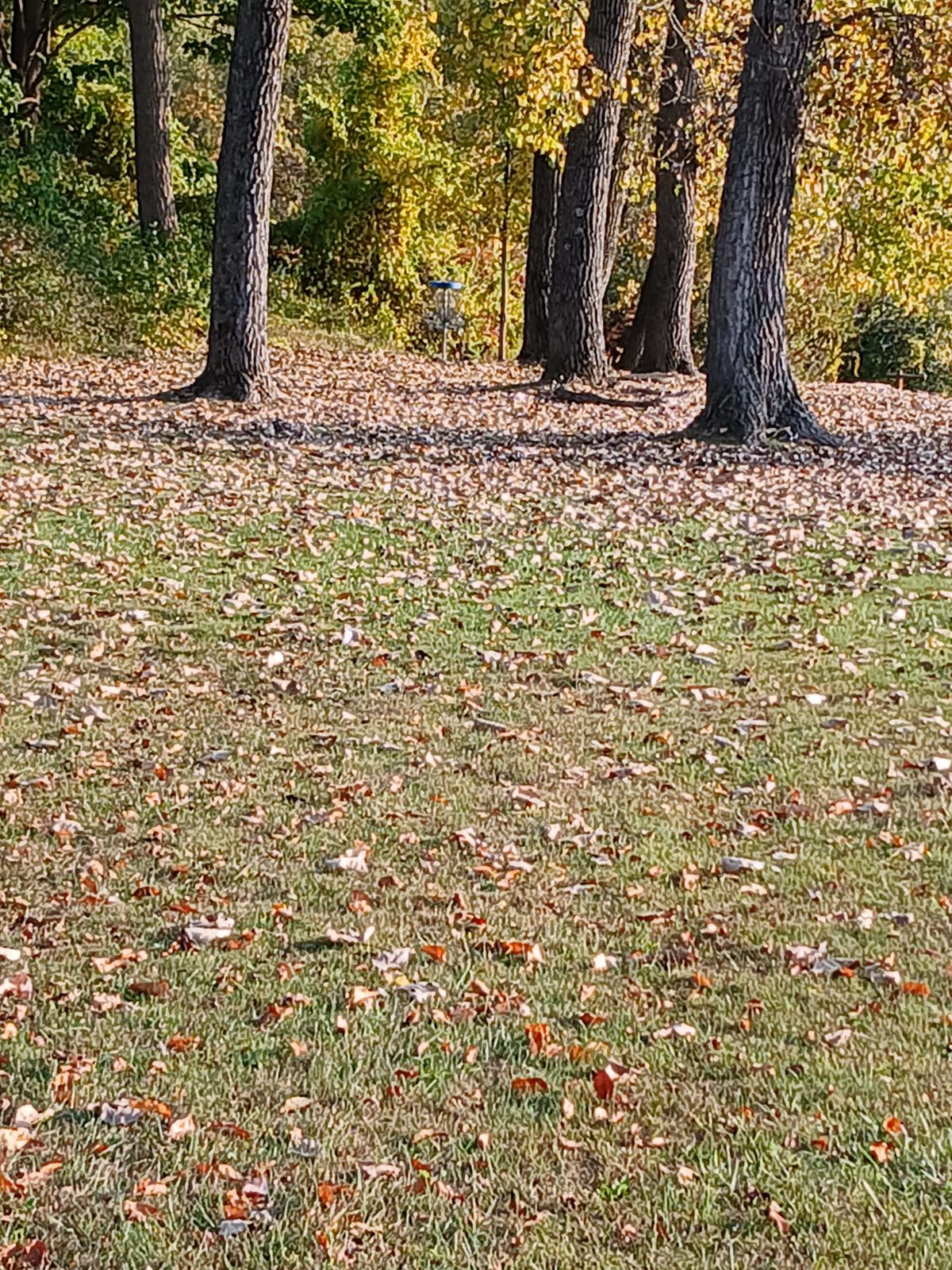 Fairway 
