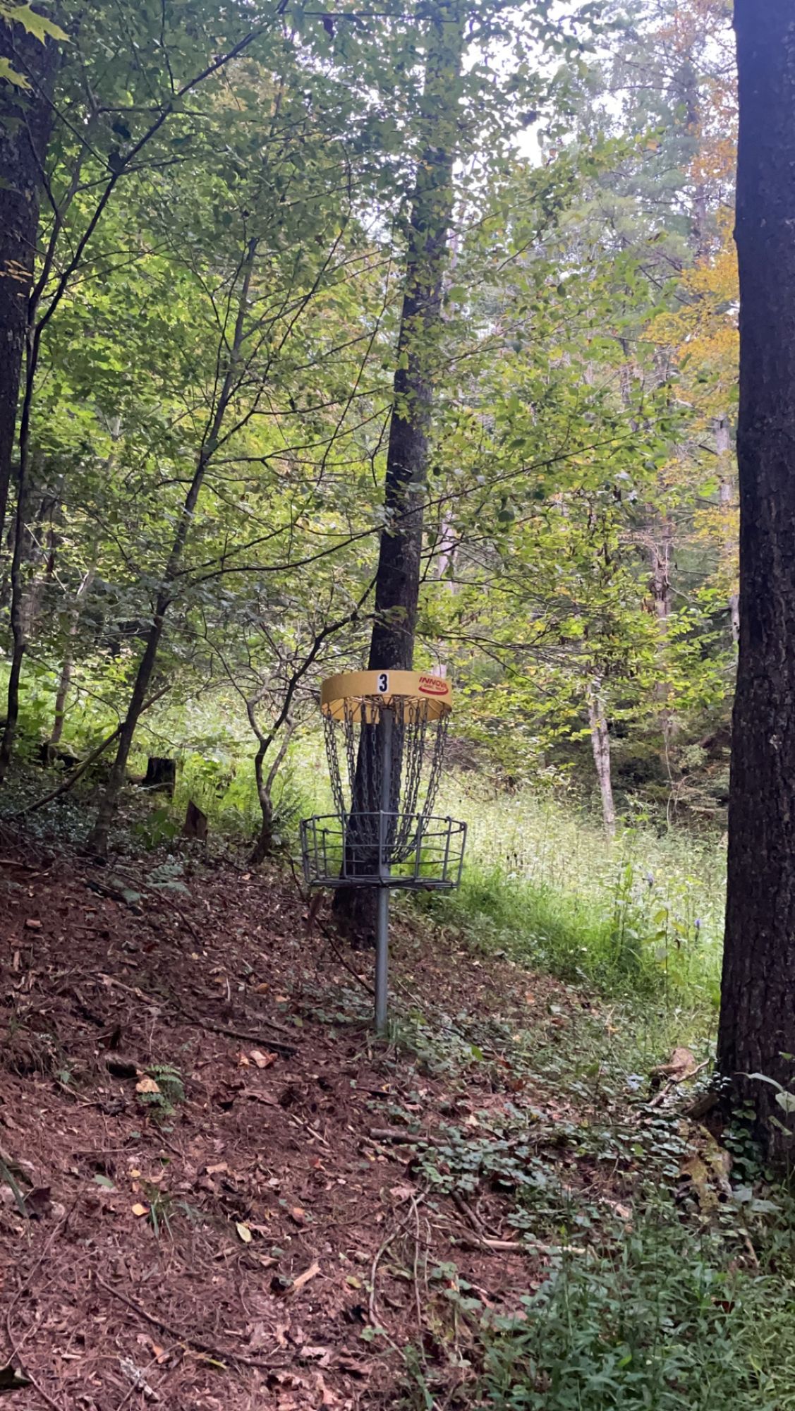 Hole 3 basket