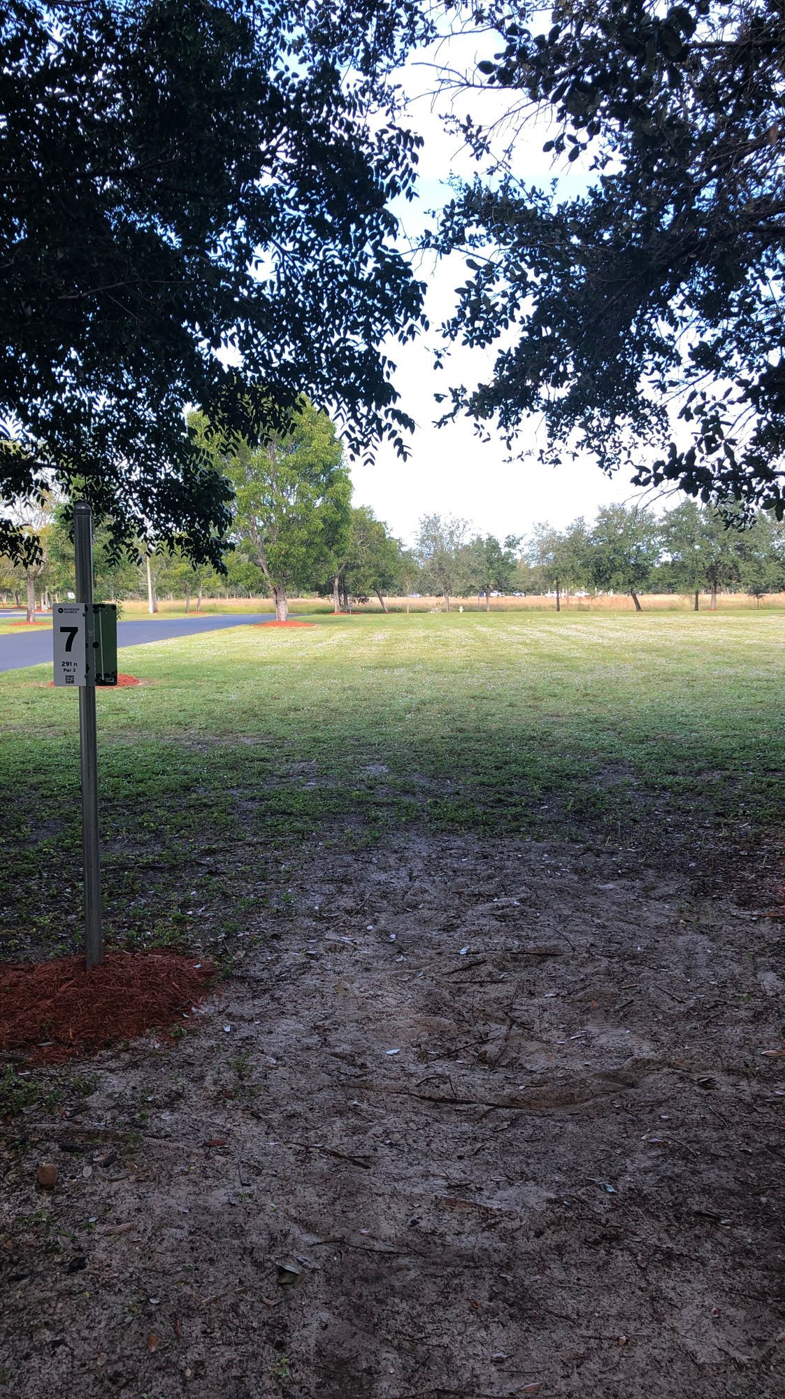 Hole 7