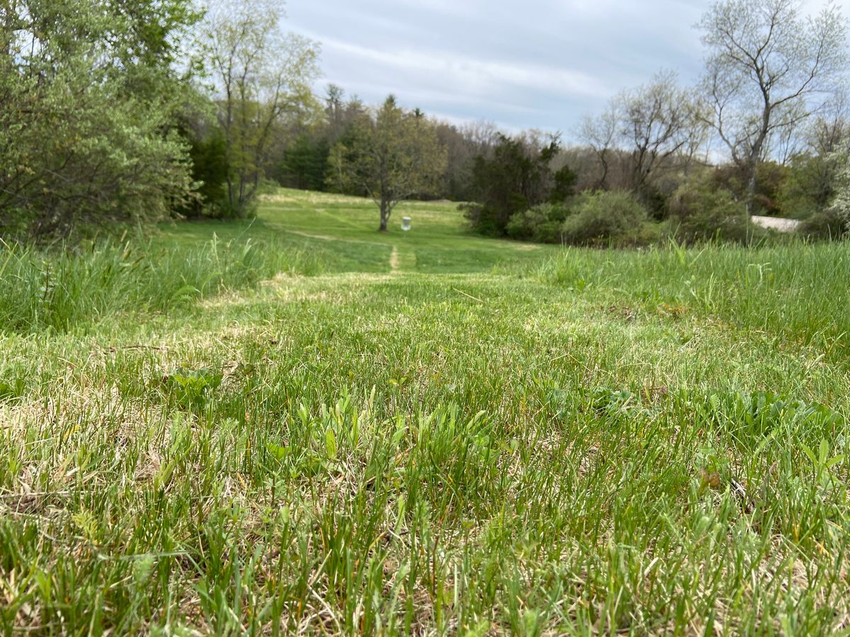 Many of our fields get used for hay… we’ve mown paths to each basket, between tees, and for circle 1
