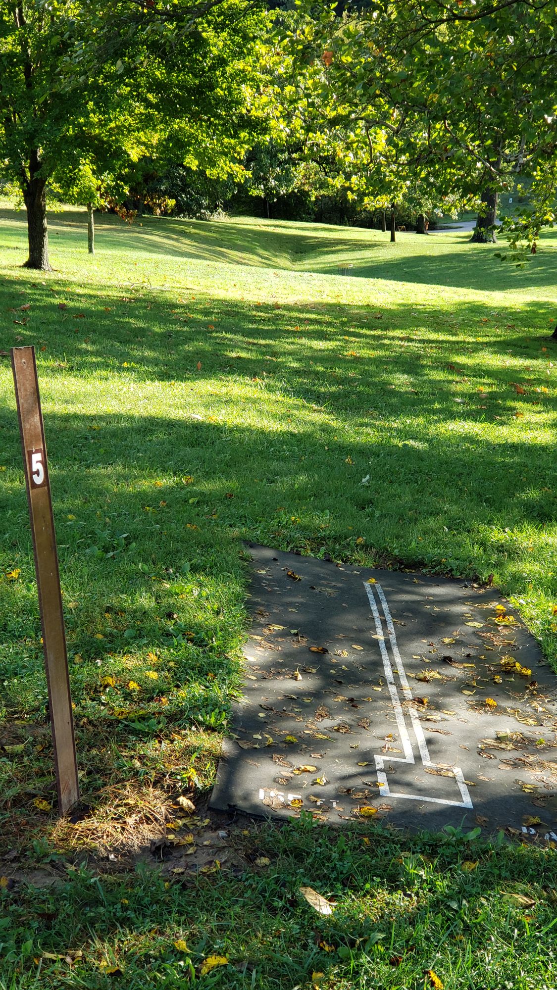Hole 5 tee