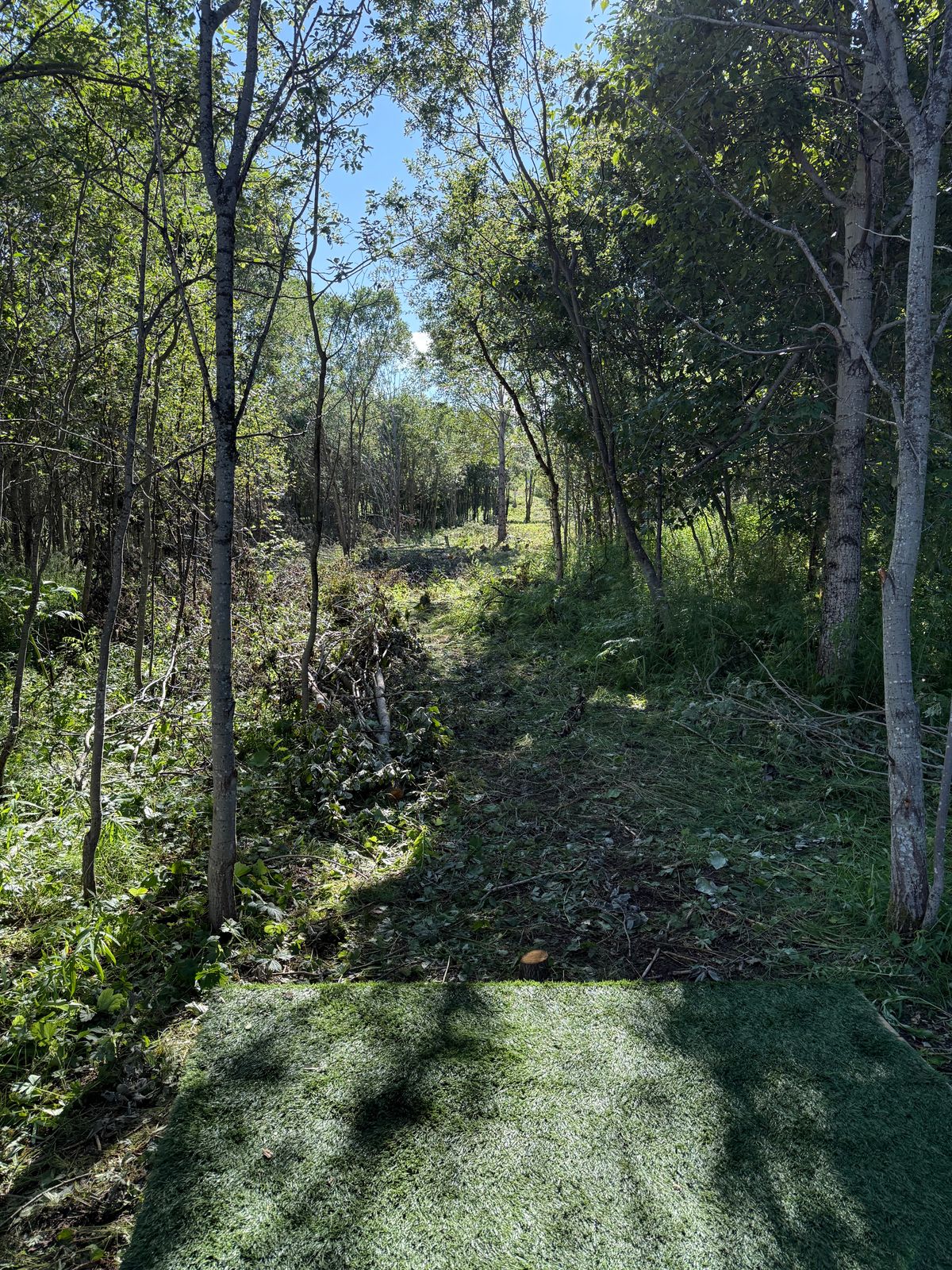 Hole8