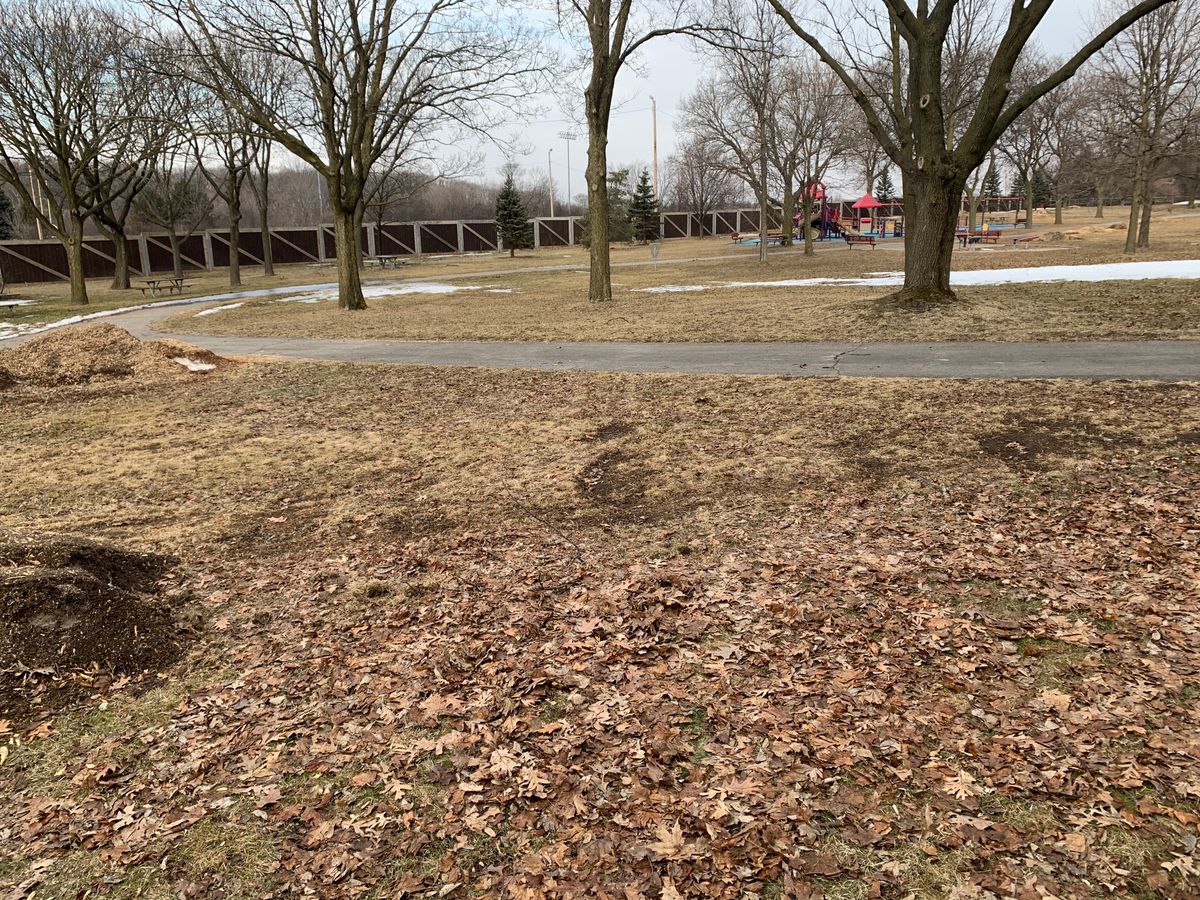 Hole 3 tee. No actual mark on ground or tee.