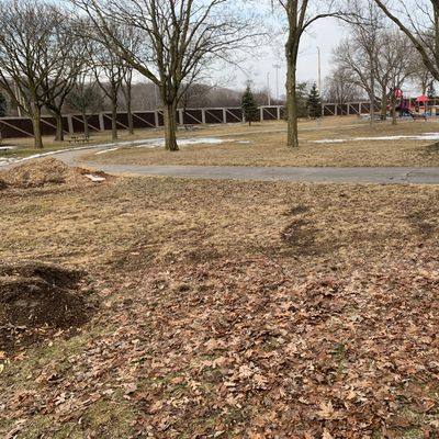 Hole 3 tee. No actual mark on ground or tee.