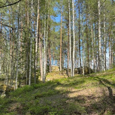 Väylä 11