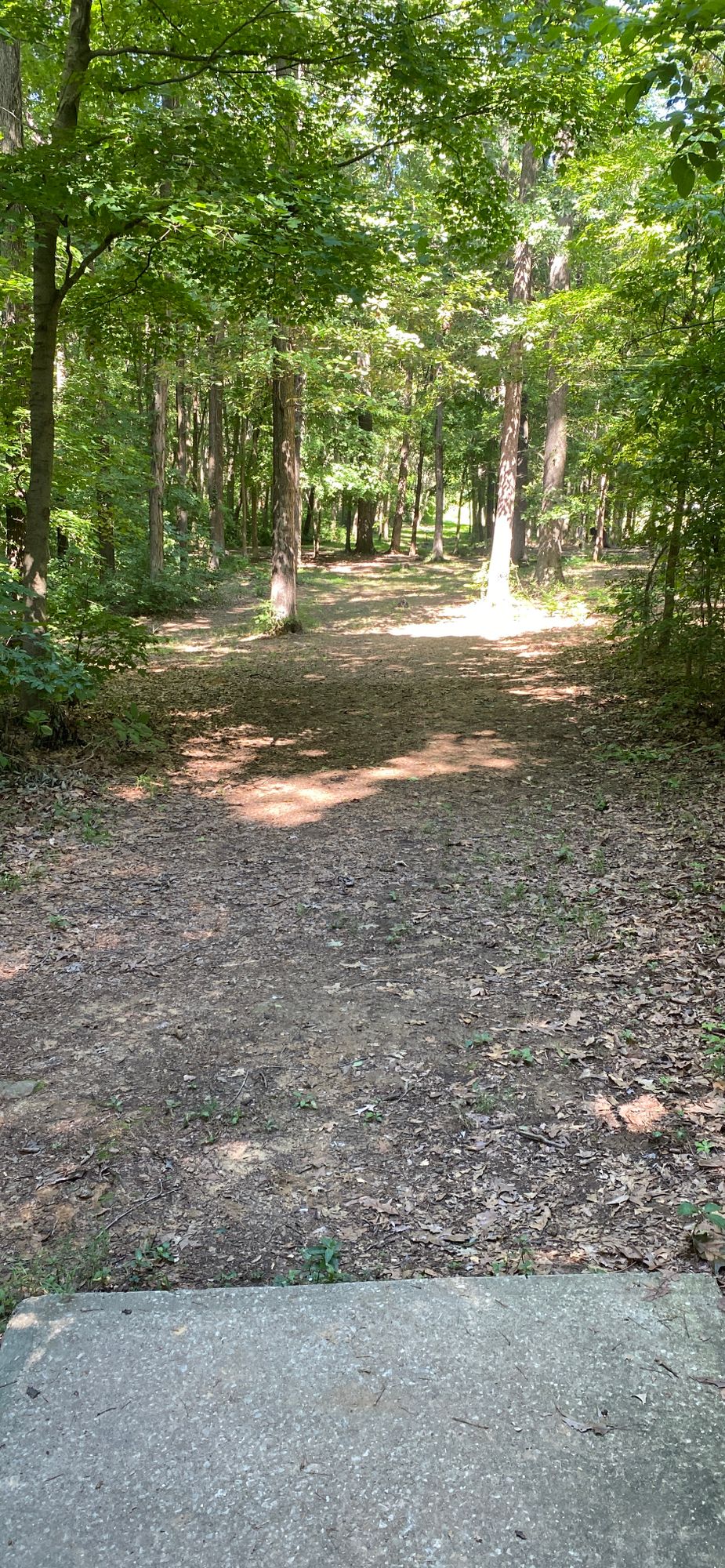 Tee 1