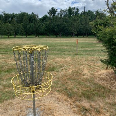 Hole 1 basket is maybe 20 feet from hole 8 tee.