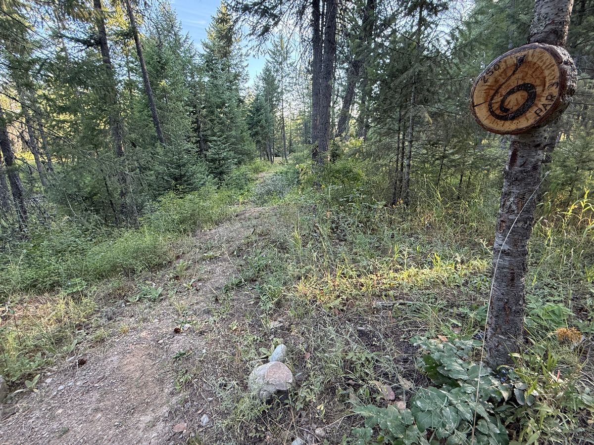 Hole 6