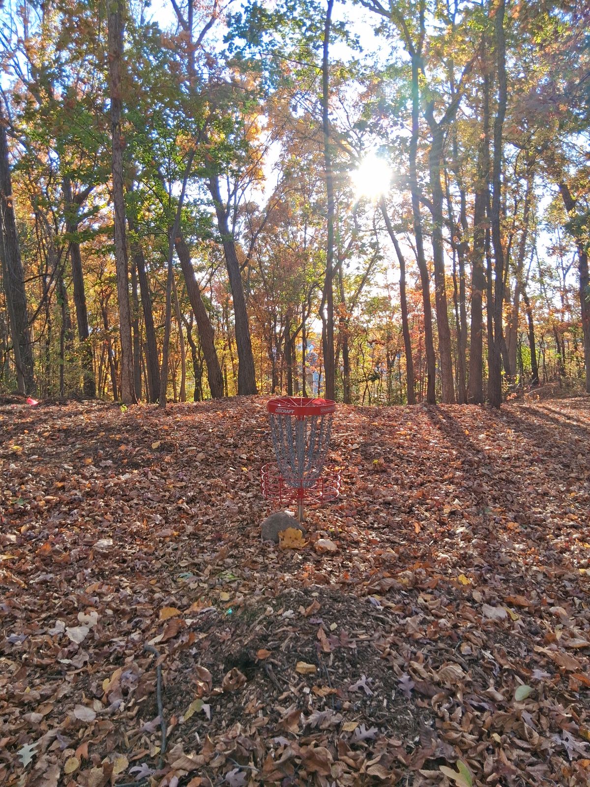 Hole 7 basket