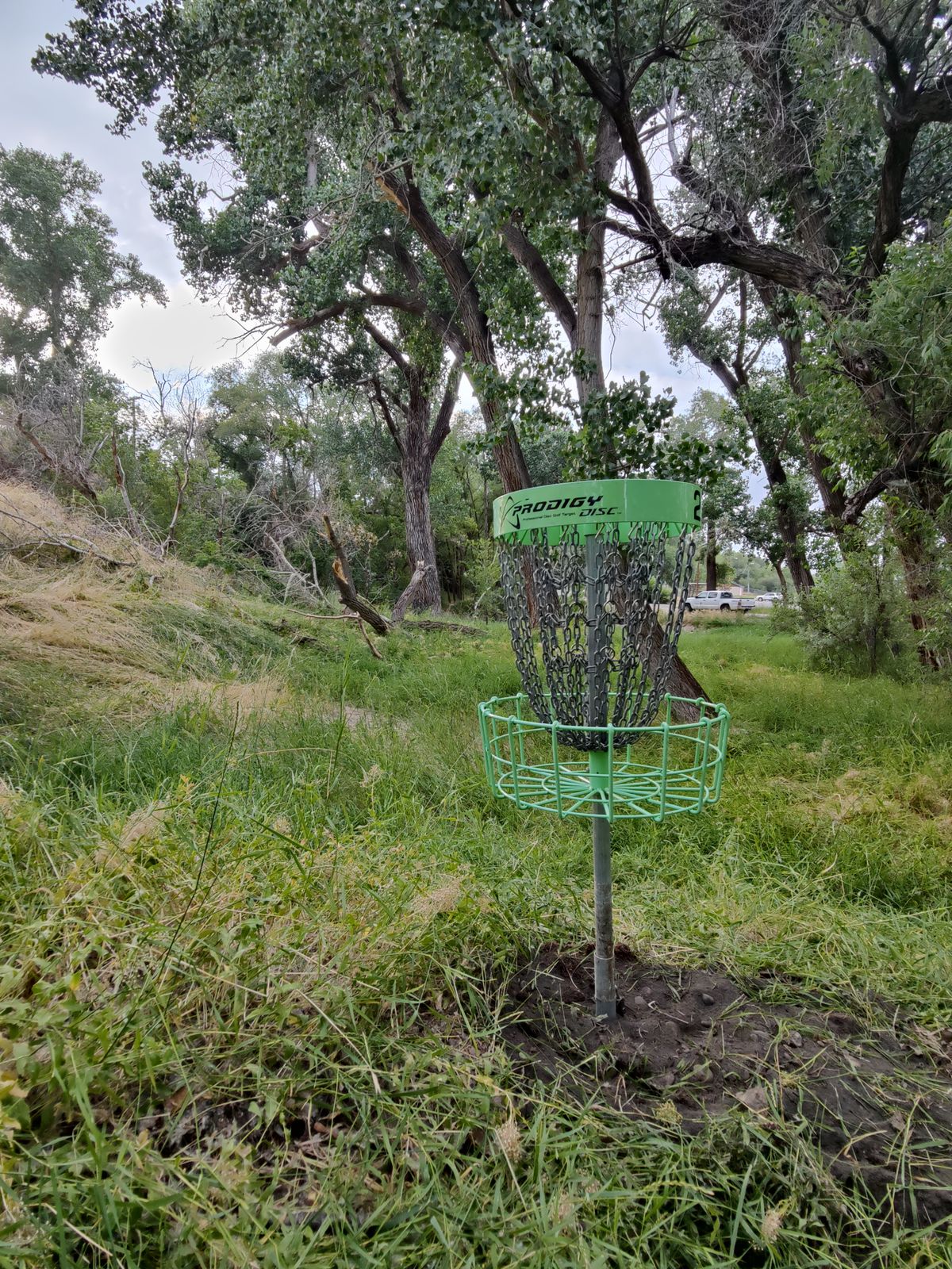 Basket location of #2looking towards the teepad
