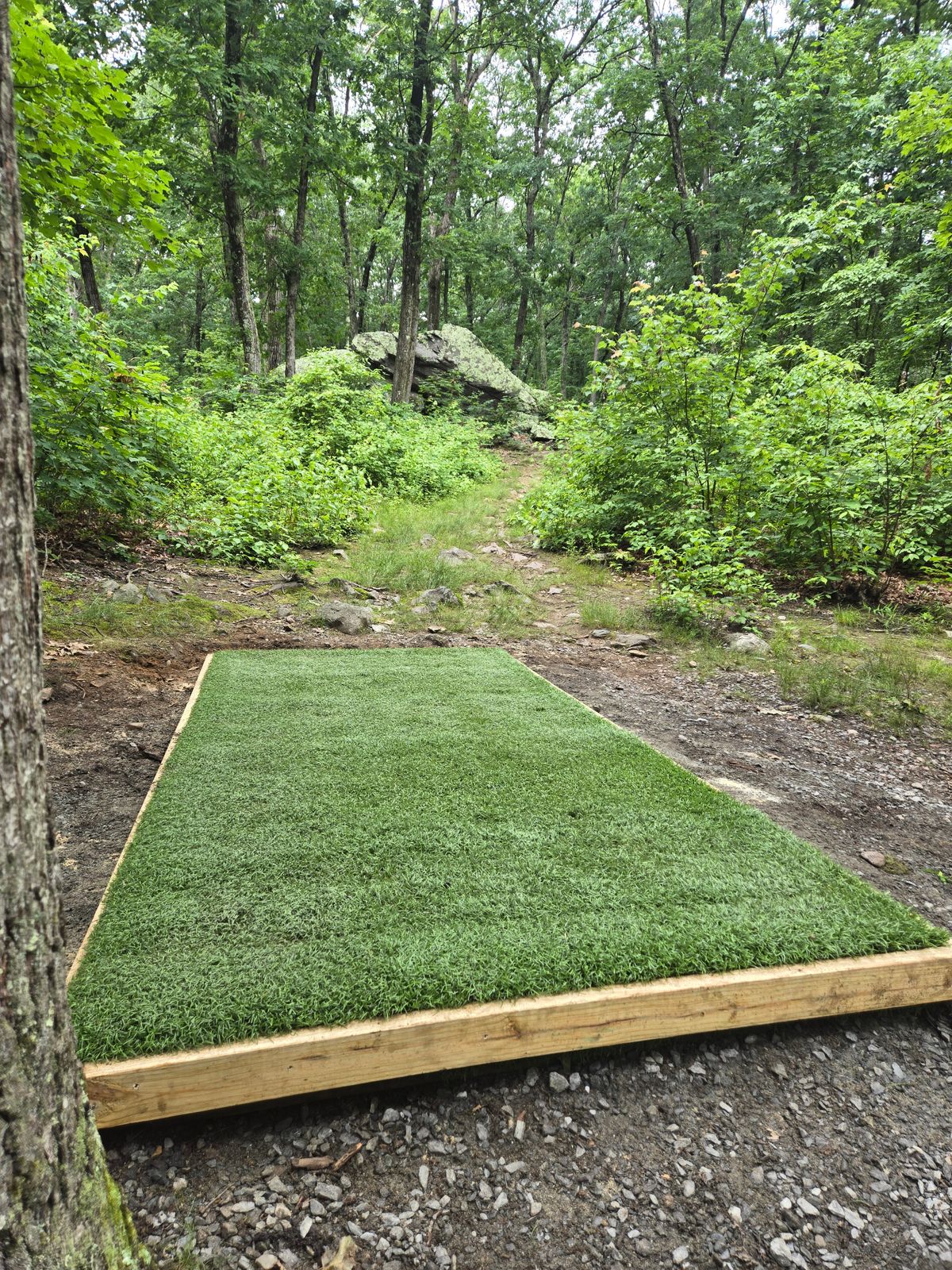 Hole 7