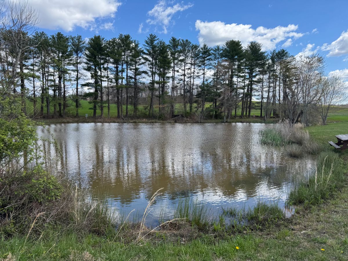 Hole 2 Tee